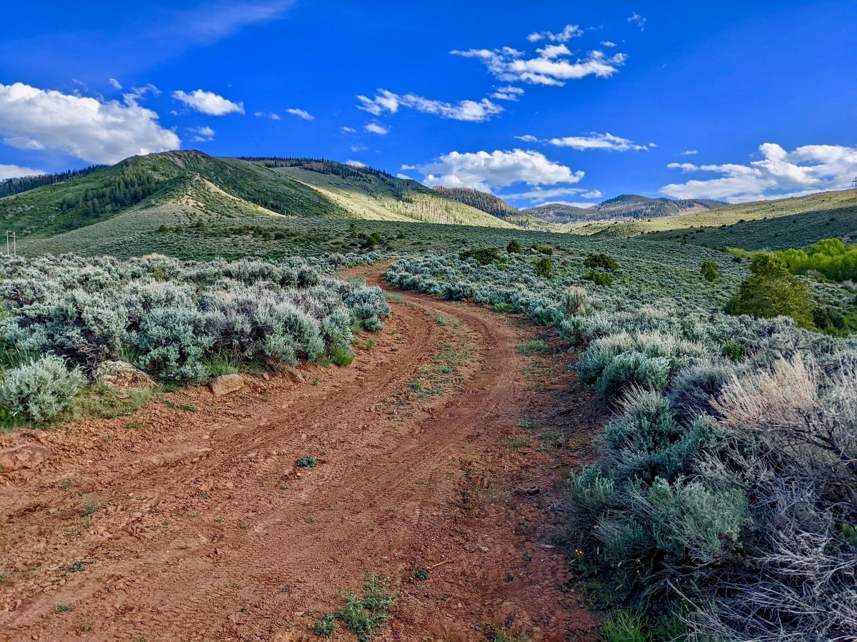 Peatland Seeps in Northwest Colorado